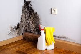 Trusted Vandenberg Af, CA Mold Inspection Experts